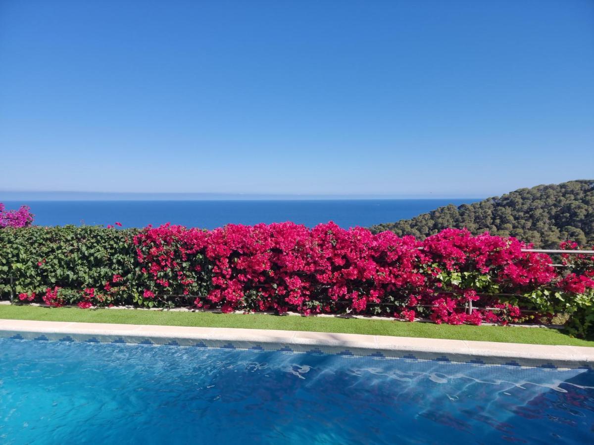 Apartament Your Paradise At Costa Brava Blanes